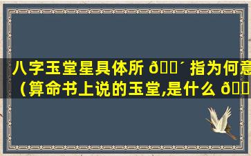 八字玉堂星具体所 🐴 指为何意（算命书上说的玉堂,是什么 🌹 意思）